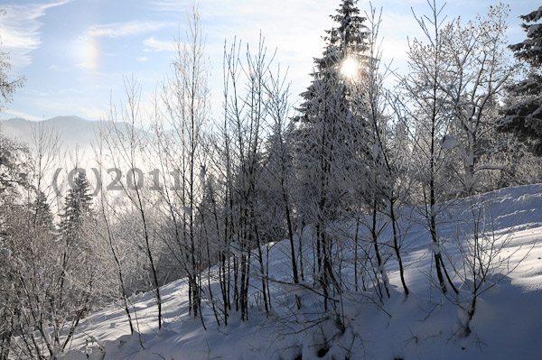 1. DSC S12 Lenggries 2011