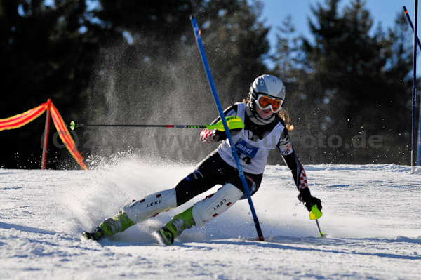 Werdenfelser Meisterschaft VSL 2011