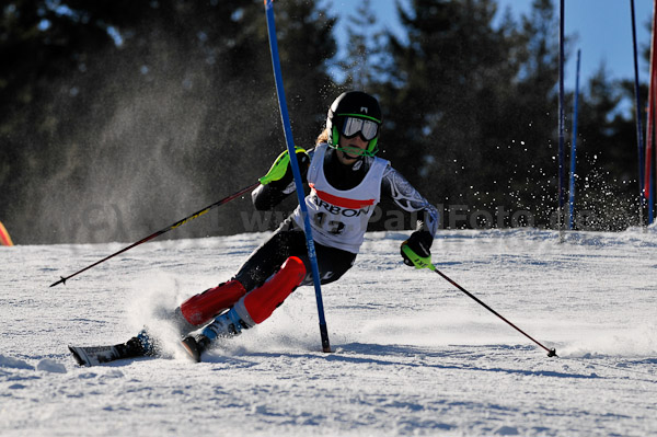 Werdenfelser Meisterschaft VSL 2011