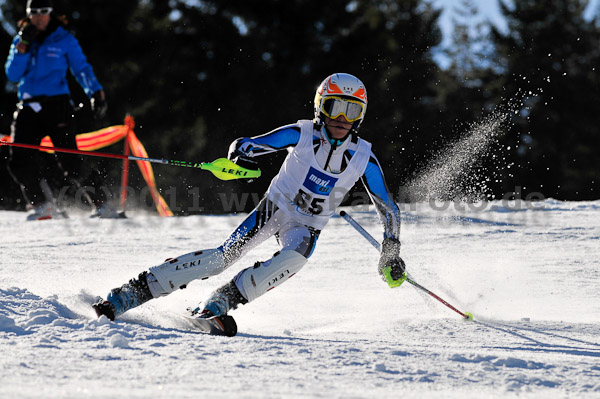 Werdenfelser Meisterschaft VSL 2011