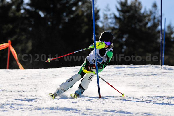 Werdenfelser Meisterschaft VSL 2011