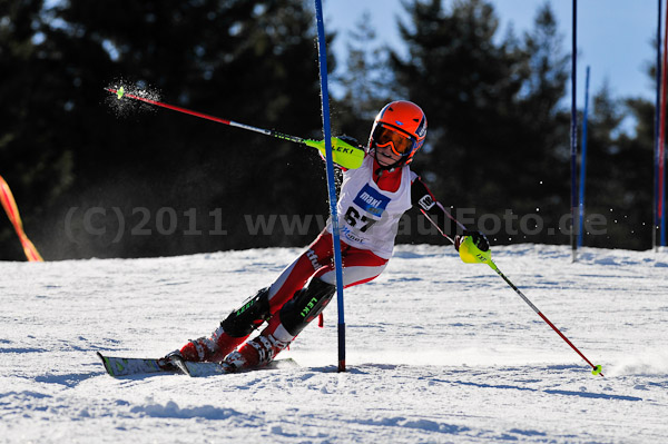 Werdenfelser Meisterschaft VSL 2011
