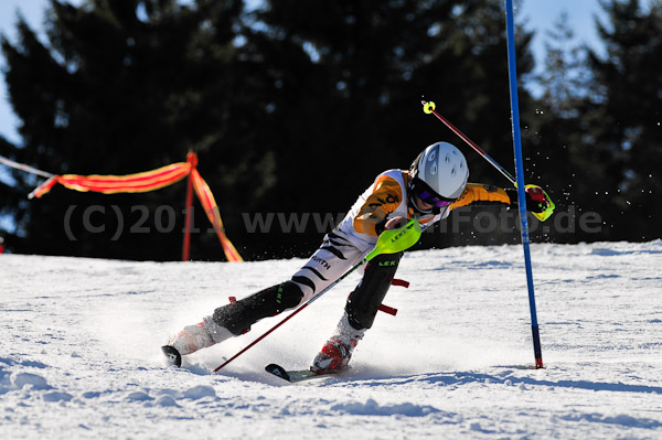 Werdenfelser Meisterschaft VSL 2011