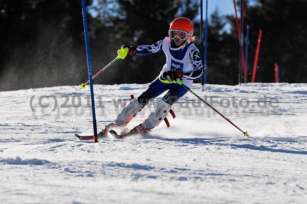 Werdenfelser Meisterschaft VSL 2011
