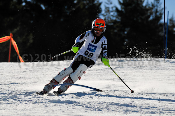 Werdenfelser Meisterschaft VSL 2011