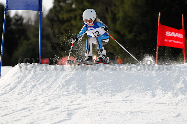 3. Sparda-Zugspitzcup 2011