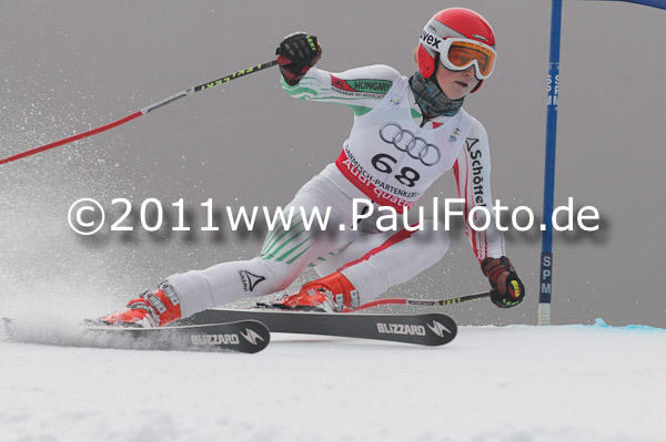 FIS Alpine Ski WM 2011