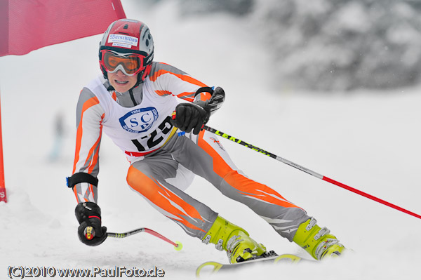 3. Landescup 2010