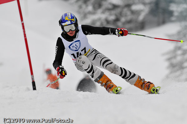 3. Landescup 2010