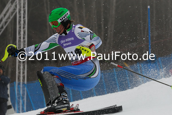 FIS Alpine Ski WM 2011