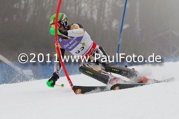 FIS Alpine Ski WM 2011