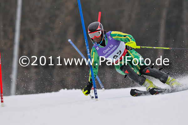 FIS Alpine Ski WM 2011