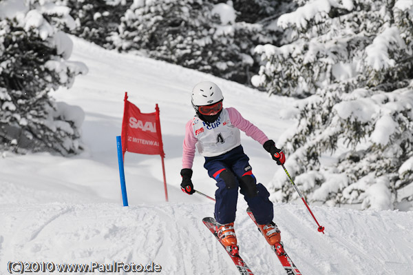 Skitty CUP 2010