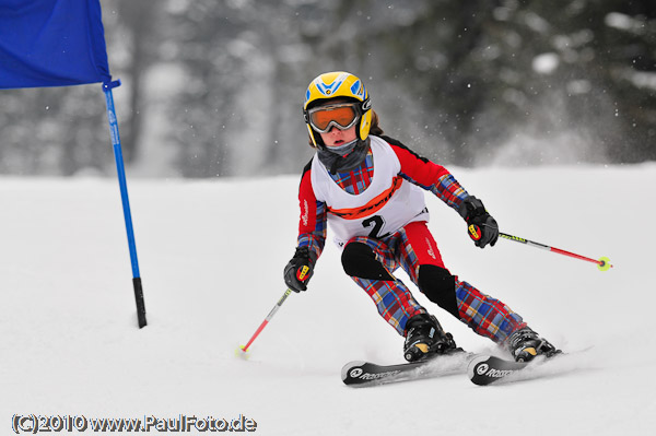 5. Ziener CUP 2010