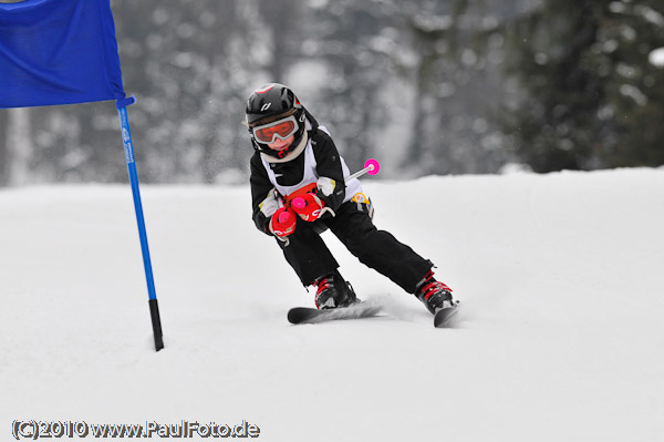 5. Ziener CUP 2010