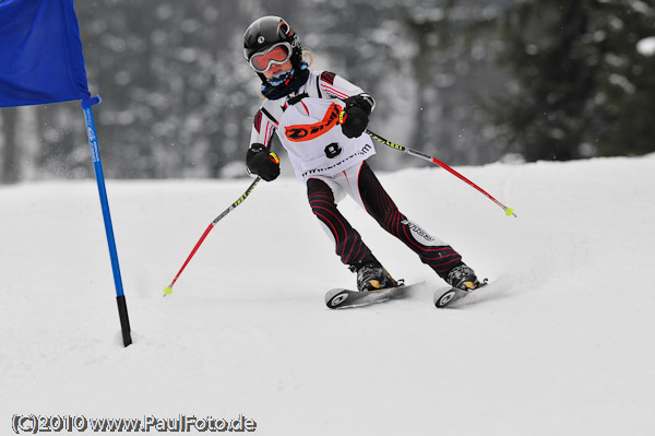 5. Ziener CUP 2010
