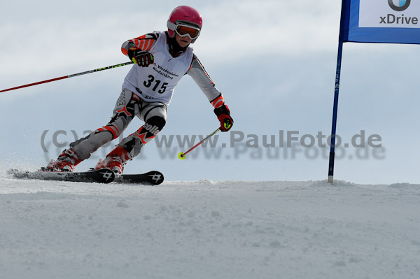 47. Int. Werdenfelser Kinderskitag 2011