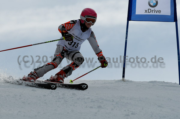 47. Int. Werdenfelser Kinderskitag 2011