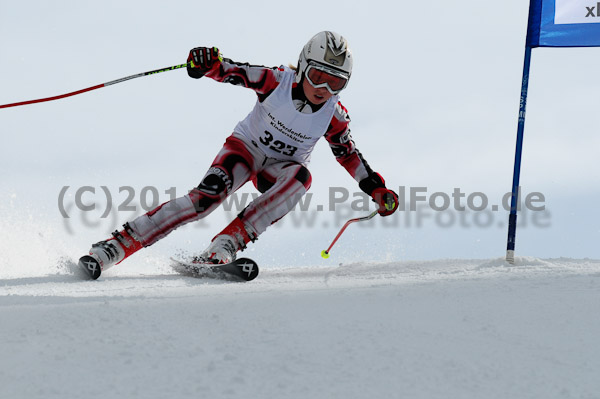 47. Int. Werdenfelser Kinderskitag 2011