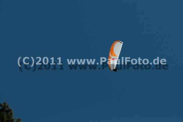 Int. Dt. Meisterschaft 2011