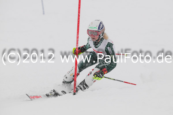 1. Landescup I VSL