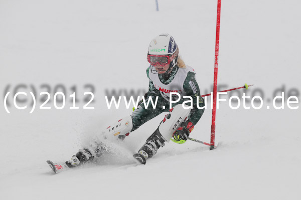 1. Landescup I VSL