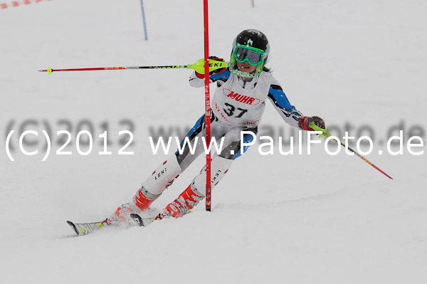 1. Landescup I VSL