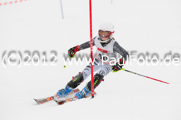 1. Landescup I VSL