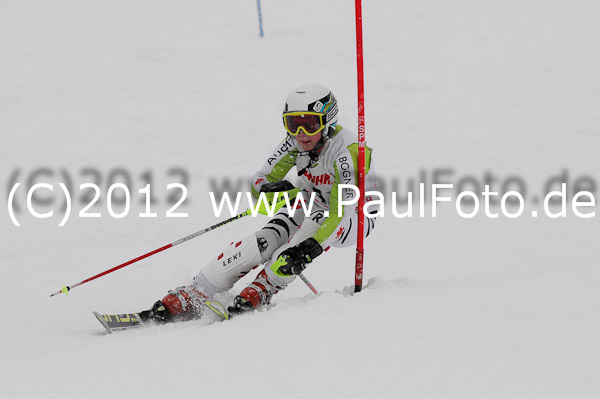 1. Landescup I VSL