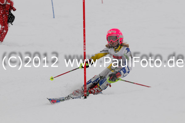 1. Landescup I VSL