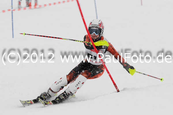 1. Landescup I VSL