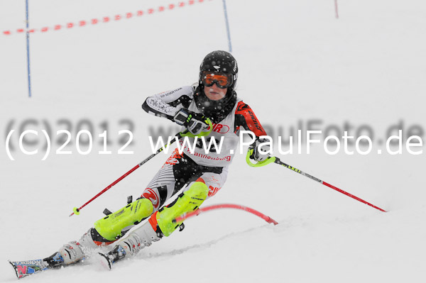 1. Landescup I VSL