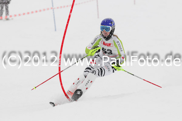 1. Landescup I VSL
