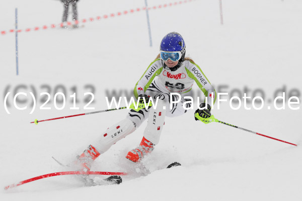 1. Landescup I VSL