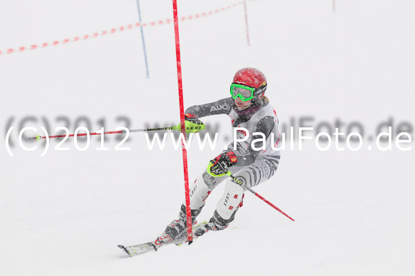 1. Landescup I VSL