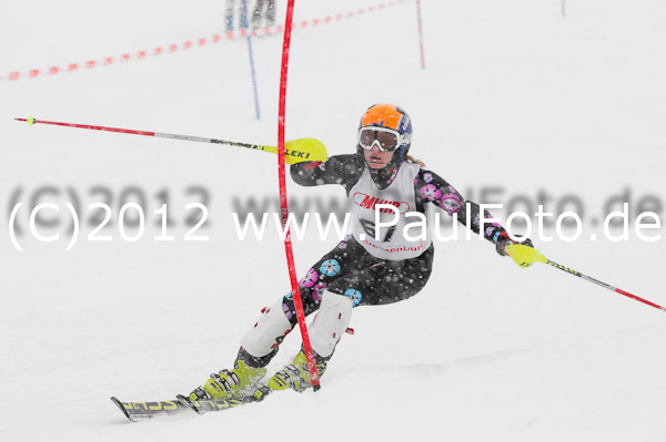 1. Landescup I VSL