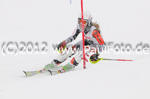 1. Landescup I VSL