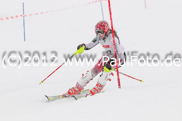 1. Landescup I VSL
