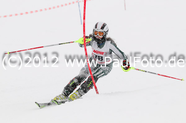 1. Landescup I VSL
