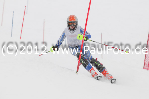1. Landescup I VSL