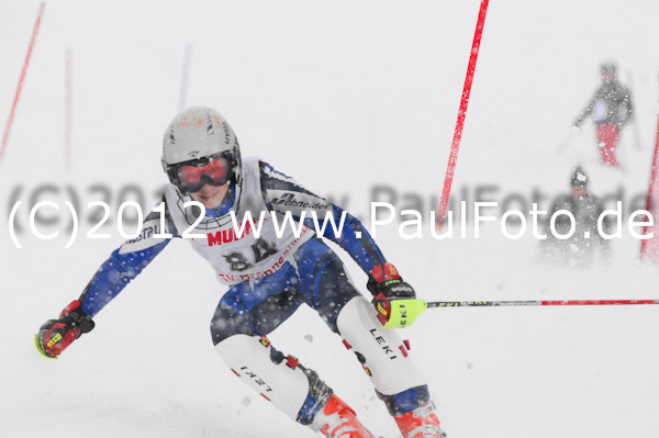 1. Landescup I VSL