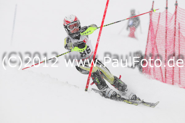 1. Landescup I VSL