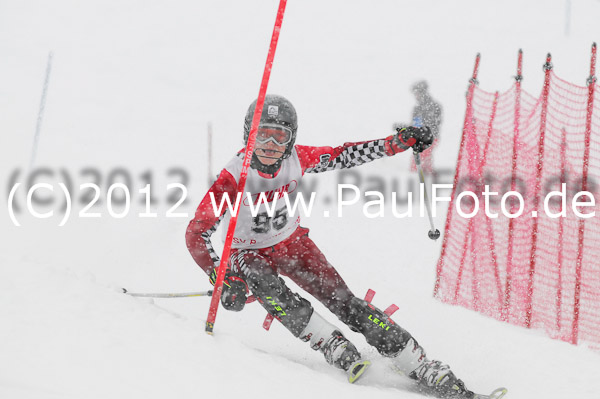 1. Landescup I VSL
