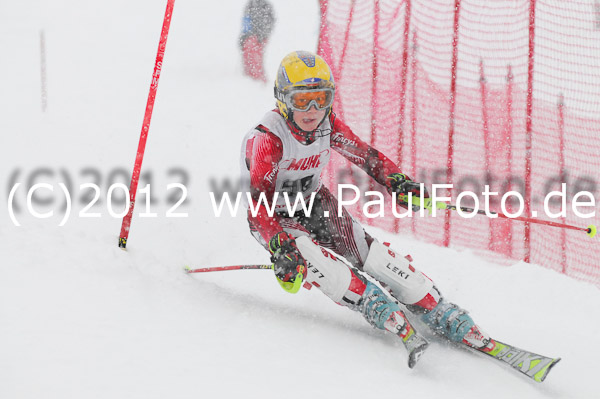 1. Landescup I VSL