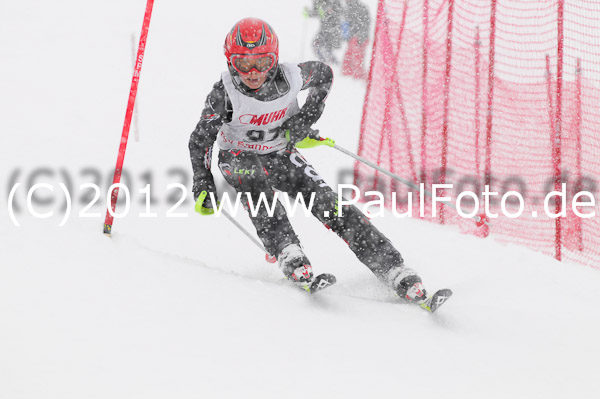 1. Landescup I VSL