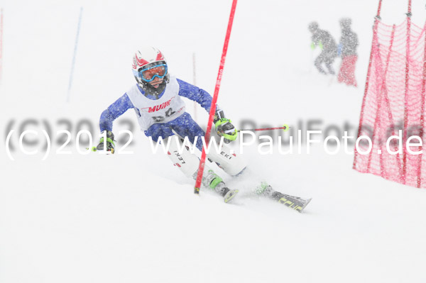 1. Landescup I VSL