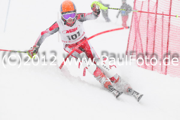 1. Landescup I VSL