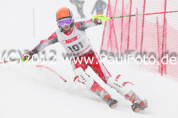 1. Landescup I VSL