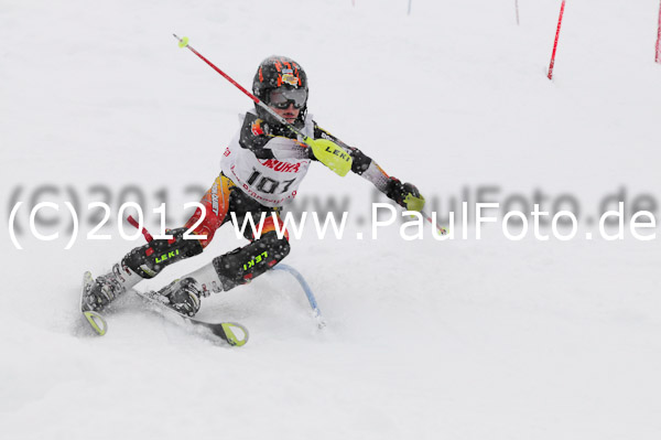 1. Landescup I VSL