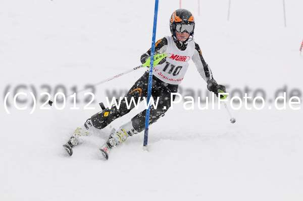 1. Landescup I VSL